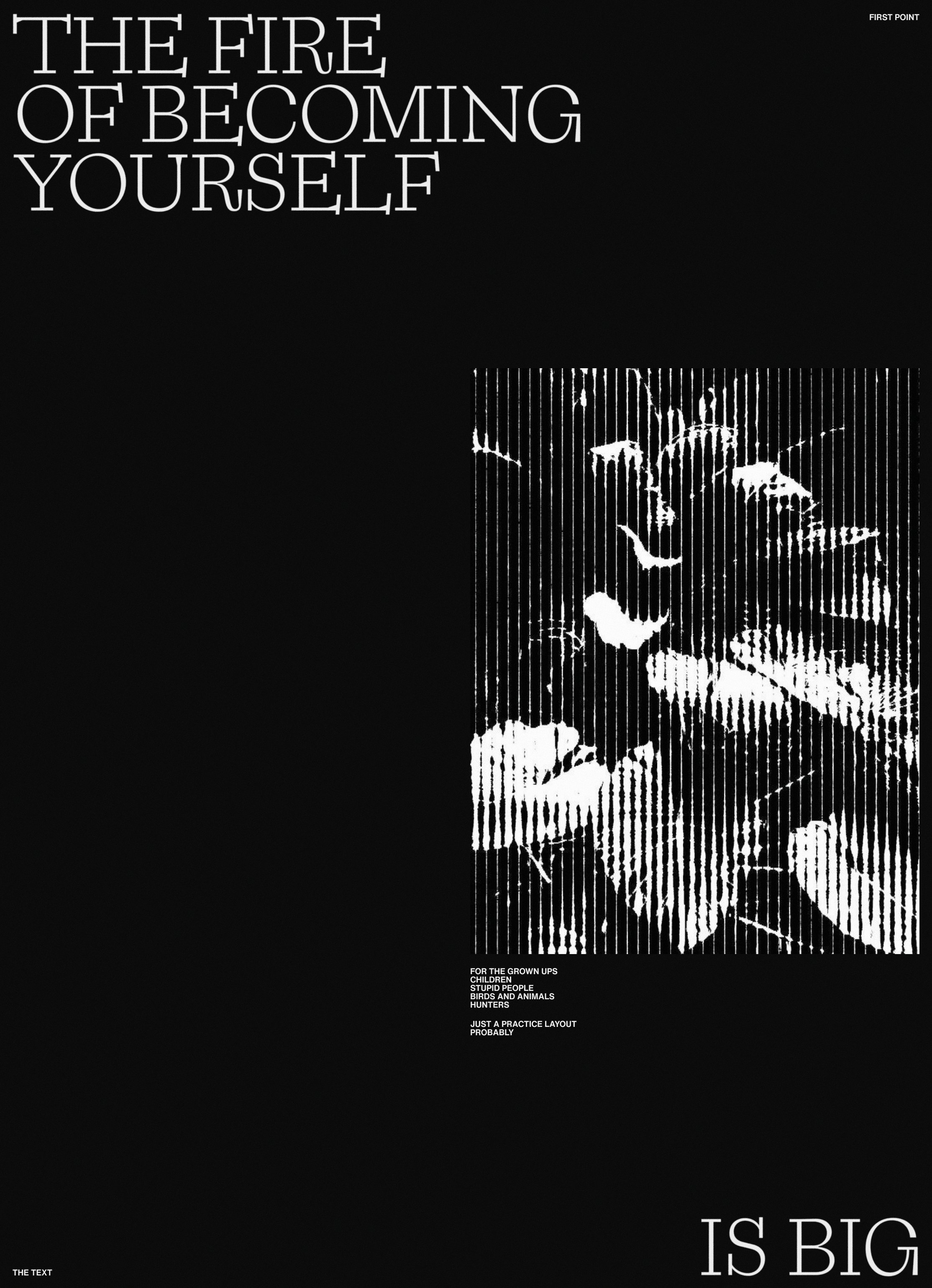 Illustrations by my fav AarzooAly